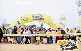 为爱奔跑，暖启新程！2026DoggyGo狗狗新年公益跑点亮光谷宠物友好新图景