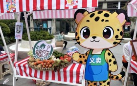 邻里欢聚“摊玩搞市”，豹子溪社区秋日漂流市集温情启幕 ——融合公益、非遗与环保，共创社区美好生活